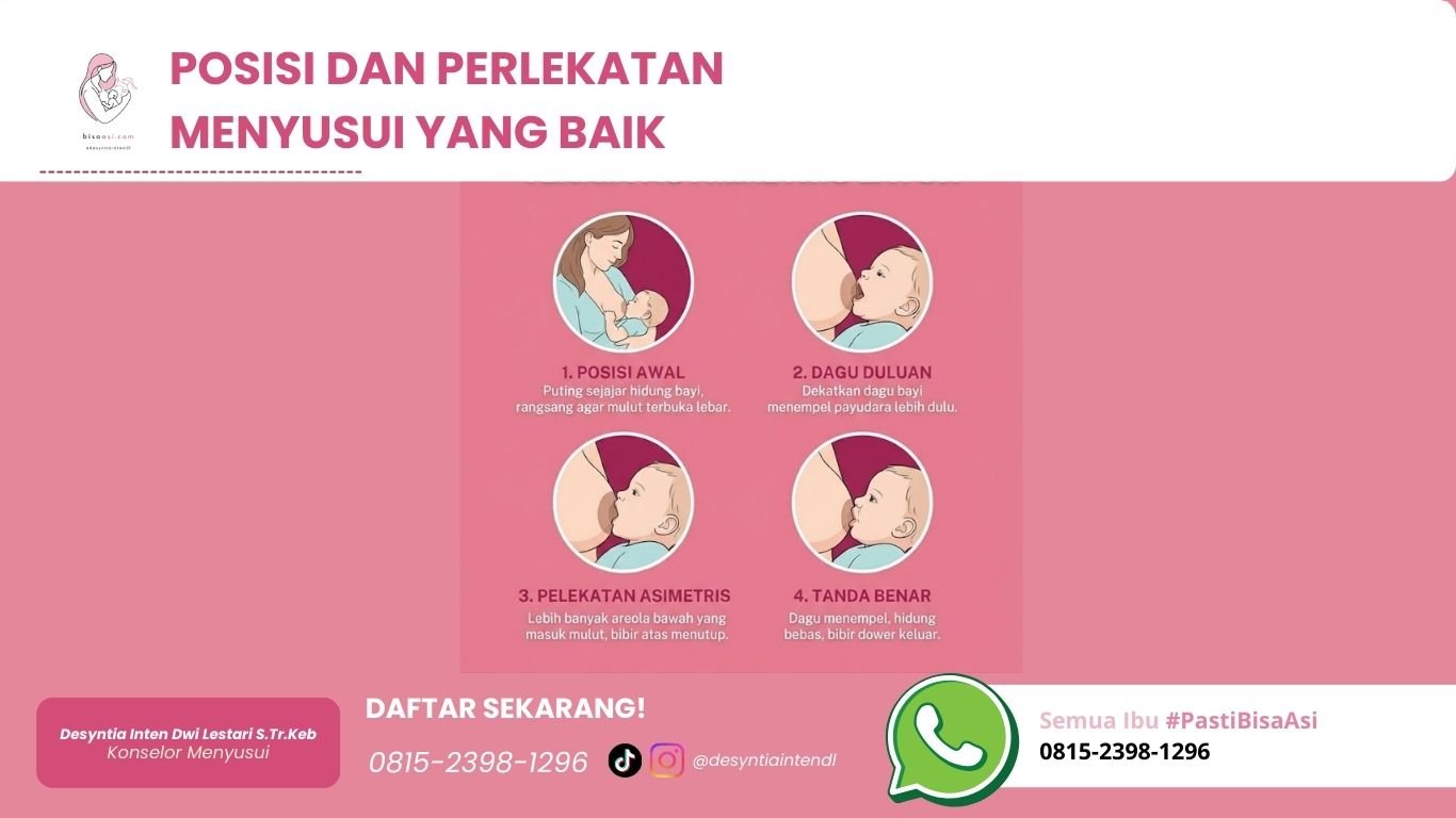 Cara Memperbaiki Pelekatan Menyusui yang Sakit: Panduan Bebas Nyeri | Bisa ASI cara memperbaiki pelekatan menyusui yang sakit panduan bebas nyeri bisa asi asymmetric latch