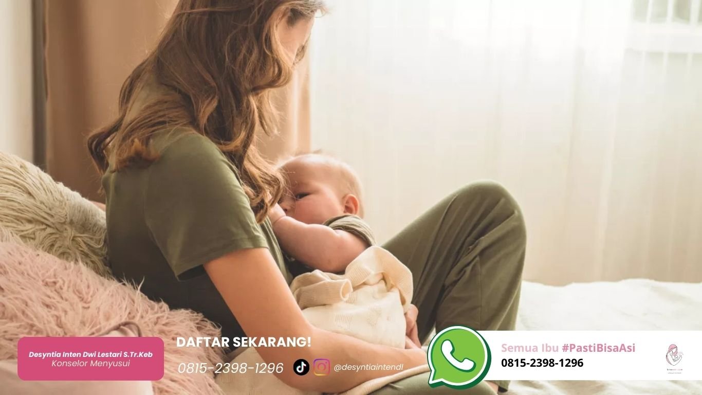 Solusi Bayi Bingung Puting Bisa Menyusu Lagi by Teh Desyn solusi bayi bingung puting bisa menyusu lagi by teh desyn