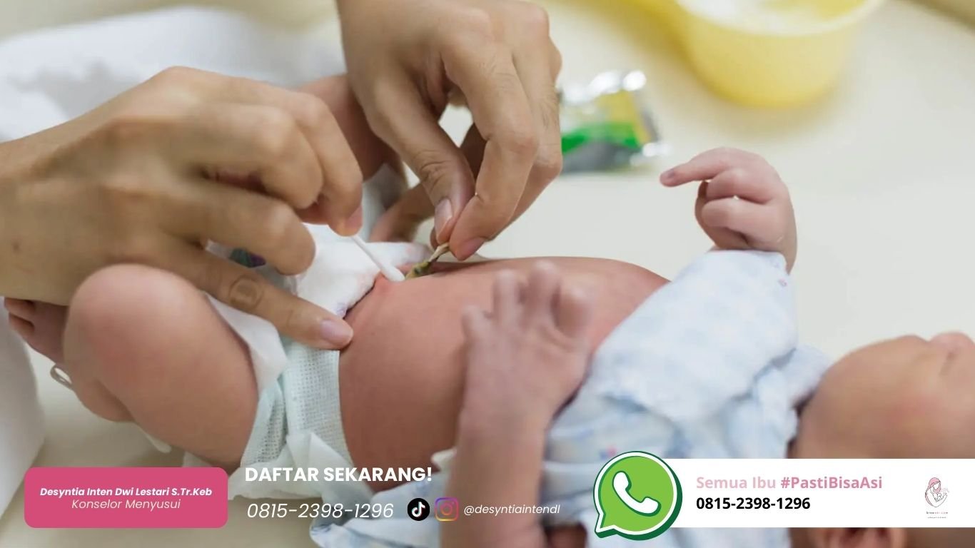 cara merawat tali pusar bayi agar tidak infeksi dan cepat puput bisa asi
