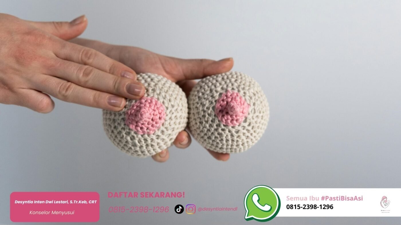 Solusi Puting Datar atau Tenggelam Bidan Laktasi Bekasi by Teh Desyn solusi puting datar atau tenggelam bidan laktasi bekasi by teh desyn